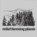 구황작물 이미지