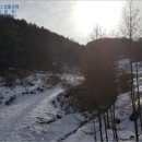 에이스목장 네이버블로그