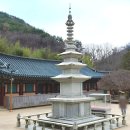 장안사 | 부산 사찰명소 기장 가볼만한곳 장안사 후기