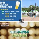 대구수제맥주페스티벌 2025 기본정보, 행사일정