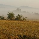 효영농장 이미지