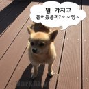 제주 비양도 가는법 한림항 배편 시간표 요금정보