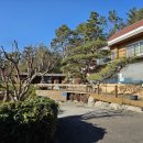 한정식 소나무 앞 이미지