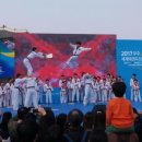 경희대 진명태권도 이미지