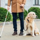 반려견,반려묘를 위한 반려동물관리사 이미지