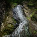 토배기산장 이미지