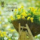 수원-0227 이미지