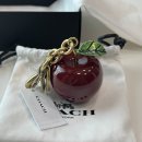 Coach Brooklyn Apple Charm 코치 브루클린 애플참 후기🍎 (몰테일 이용 직구)