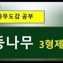 흰등 이미지