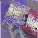 디퍼스트치과의원 이미지