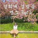 (주)바우라움 수원 캠퍼스 | 경희대 겹벚꽃 수원 국제캠퍼스 사진 명소 Best3 주차 팁