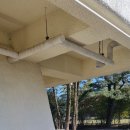 푸른숲리조트 이미지