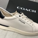 G4950 네이버블로그
