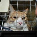 더블리스동물의료센터 이미지