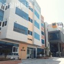 상록수 이미지