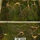 한천 농악전수관 이미지