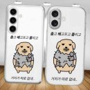 젤리도그 이미지