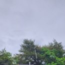 지리산구절초영농조합법인 네이버블로그