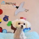 Happy 애견샵 이미지
