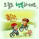요이땅