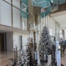 엠피크 | 호텔 나루 서울 엠갤러리 이른 태교여행 호캉스 솔직후기