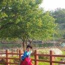 53호 문화공원 이미지