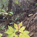 미래농장 이미지