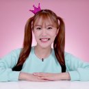 헤이지니 서울신문