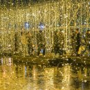 부산시민공원 거울연못 빛축제 이미지