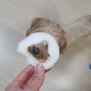 단이마켓 이미지
