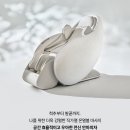 파우제 이미지