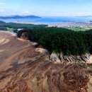 장고도8 이미지