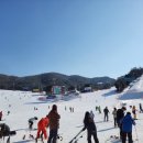 웰리힐리 스키장 이미지