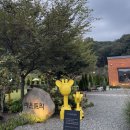 성주읍4길 | 성주 마운트리 | 고분군 카페 대구 근교 가볼만한곳 내돈내산 후기