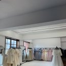 촬영 드레스 | 베일즈 상반기 샘플세일 오픈런 후기
