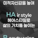 하비헤어 이미지