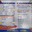 울진참가자미 | [수성구] 맛집 울진참가자미회 리뷰 (내돈내산/물회끝내줍니다)