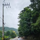 두리애견용품 | 서울 근교 애견 동반 캠핑장 경기도 양주 개네집 캠핑장