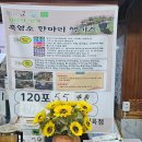 백조품은오리 이미지