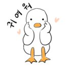 쥬니애견 이미지