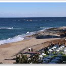 바다정원 이미지