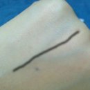 팩트디자인하우스 이미지