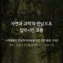 이른아침유치원 | 이른숲속 코쁨 맥문동 차 90포 │ 어린이·가족 비염·축농증·호흡기 건강 액상차