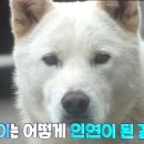 복돌이식당