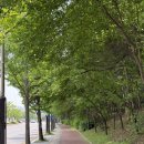 반송동 새강마을 사거리 | [동탄] 나바시 필라테스│요즘 핫한 바레 수업 가능한 동탄 반송동 필라테스 센터