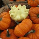 행진농장 이미지