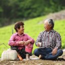 단양농부마을 이미지