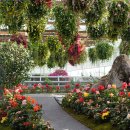 어비계곡 하얀집 | 가평 겨울 여행 TOP 10