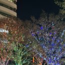 서원동 보도육교 앞 | 롯폰기 일루미네이션 도쿄역 마루노우치광장 시부야 청의동굴 3개 다본 후기