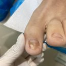 레푸스 평촌점 이미지